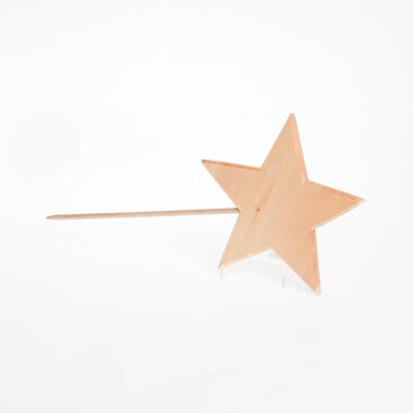 Stern mit Stab mittel