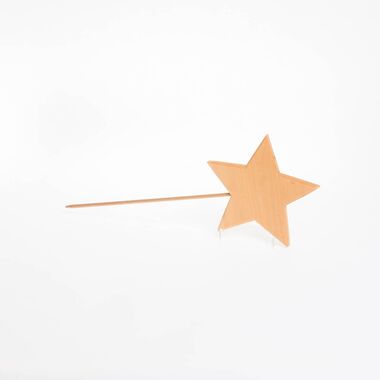 Stern mit Stab klein 